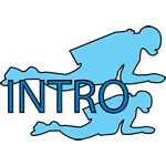 Logo INTRO