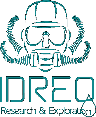 Logo IDREO